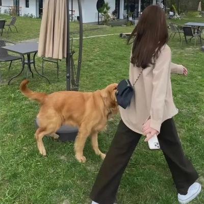 西点十君子